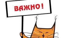 Открыт прием заявок для команд на турнир в Новосинеглазовском! 